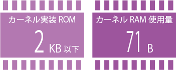ROM/RAM size