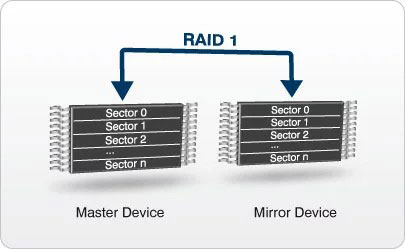 emfile raid-1